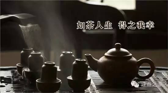 茶语，关于茶的美文